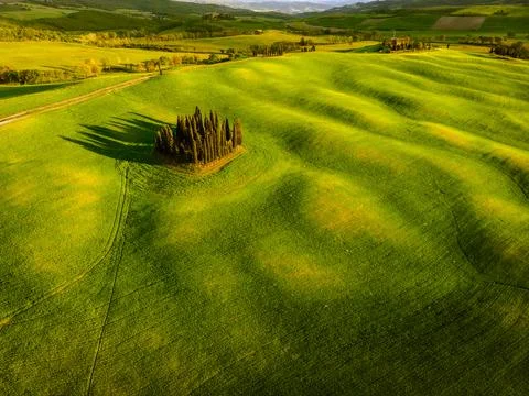 Spring in Tuscany fields Stock-Fotos