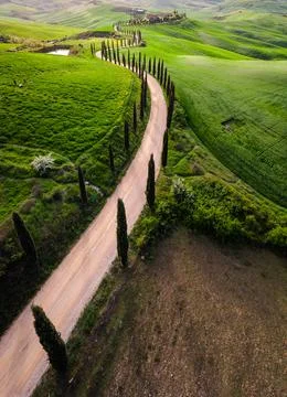 Spring in Tuscany fields Stock Photos