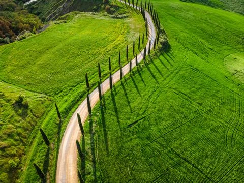 Spring in Tuscany fields Stock-Fotos