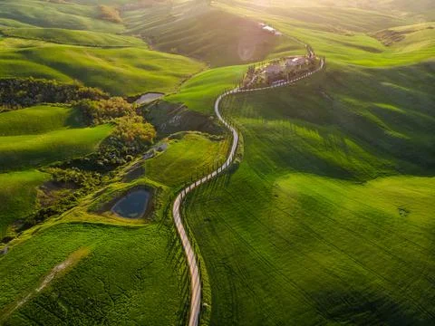 Spring in Tuscany fields Stock Photos