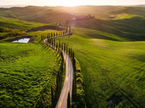 Spring in Tuscany fields Stock-Fotos