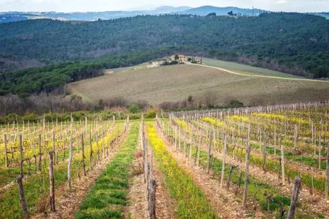 Spring in Tuscany Foto stock
