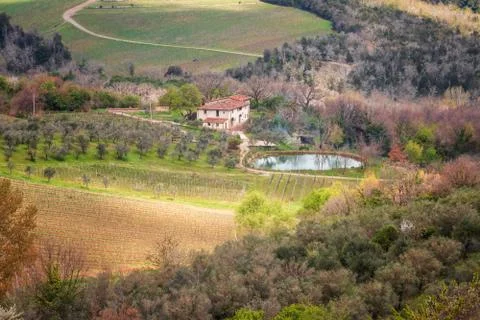 Spring in Tuscany Stock-Fotos