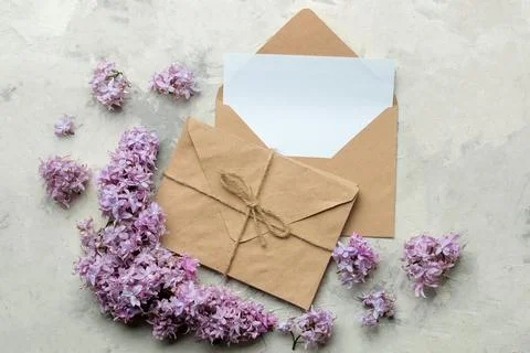 Spring twigs of lilac craft envelope with a blank for text on a light backgro Stock Photos