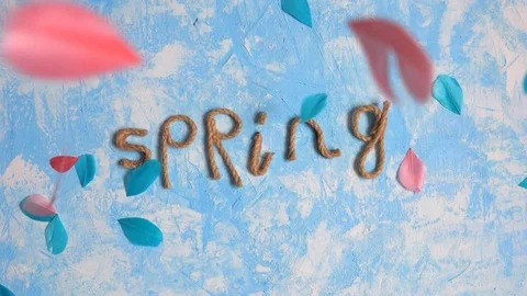 Spring typography and colorful feathers on the sky blue background. Stock Footage 123903682