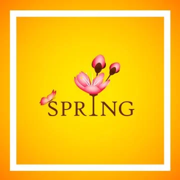 Spring typography with cherry blooming flowers pink petals and butterfly on a Stock Illustration