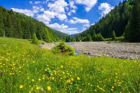 Spring in Ukraine in the mountains Stock-Fotos