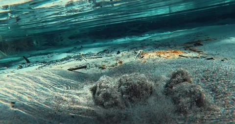 Spring under water. Natural source of fresh water. Forest spring. Stock Footage 255187947