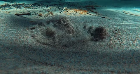 Spring, underwater photography. A source of clean water underwater. Stock Footage 261312280
