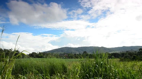 Spring valley and clouds, Nakhon Ratchasima, Thailand. HD Video stock 40770671