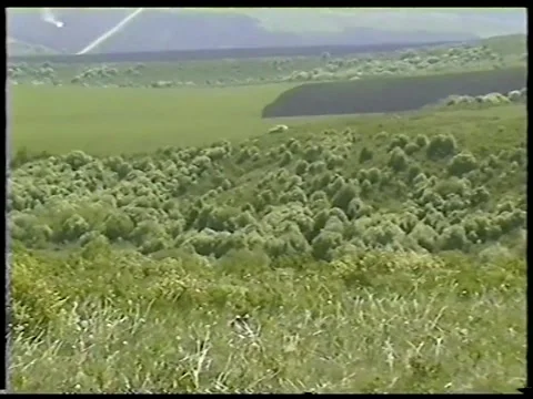 Spring Valley Landscape In Eastern Kazakhstan Stock Footage 336301466