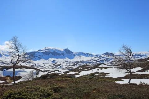 Spring valley landscape Stock Photos