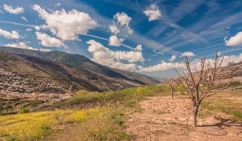 Spring in the valley Fotos de archivo