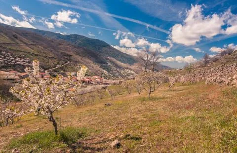 Spring in the valley Stock Photos