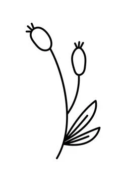 Spring Vector stylized hand drawn branch with berries and leaves. outline vector Stock Illustration