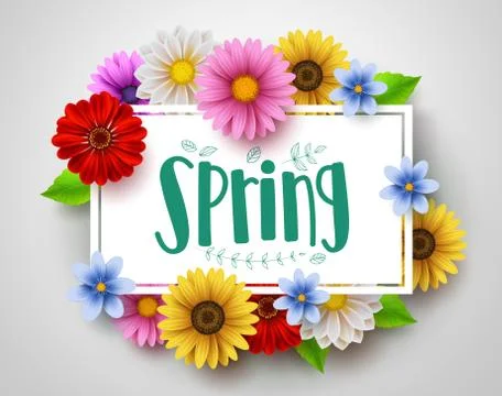 Spring vector template design with spring text in white empty frame Stock Illustration