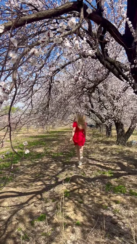 Spring vibe Stock Footage 305504336