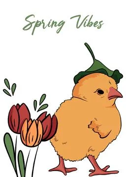 Spring vibes Easter greeting card with cute chick and tulips. Isolate white bg Stock Illustration