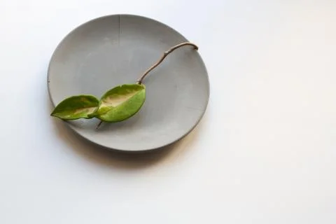 Spring vibes on plate Stock Photos