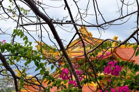 Spring in Vietnam Foto stock