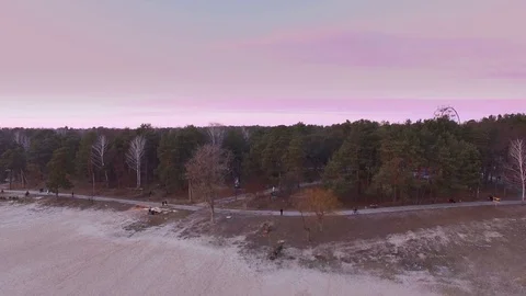 Spring view of coast and forest and ferris wheel Stock Footage 73803245