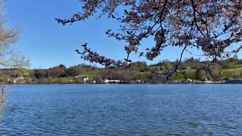 Spring view of the Danube River near Passau, Germany Stock Footage 306018694