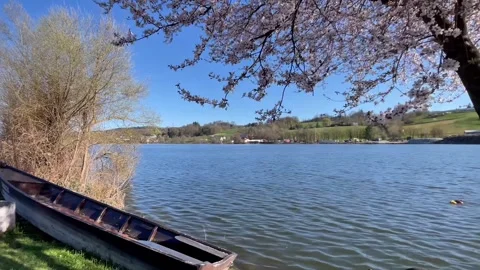 Spring view of the Danube River near Passau, Germany Stock Footage 306018695