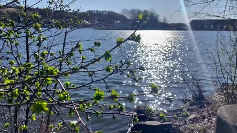 Spring view of the Danube River near Passau, Germany Stock Footage 306018708