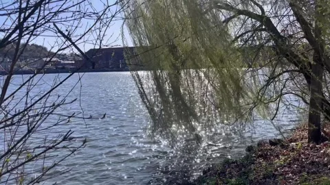 Spring view of the Danube River near Passau, Germany Stock Footage 306018743