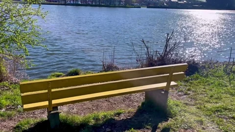 Spring view of the Danube River near Passau, Germany Stock Footage 306018837