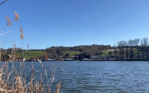 Spring view of the Danube River near Passau, Germany Stock Footage 306018886
