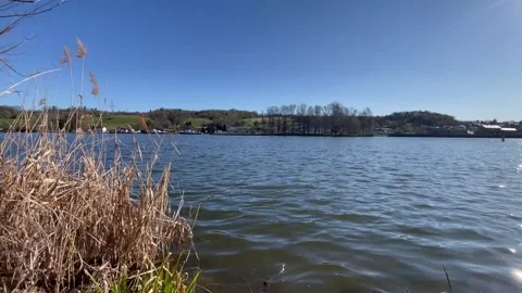 Spring view of the Danube River near Passau, Germany Stock Footage 306018899