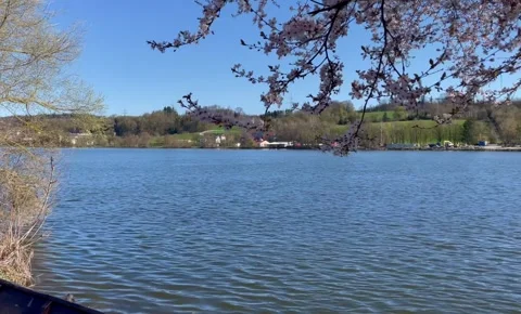 Spring view of the Danube River near Passau, Germany Stock Footage 306018978