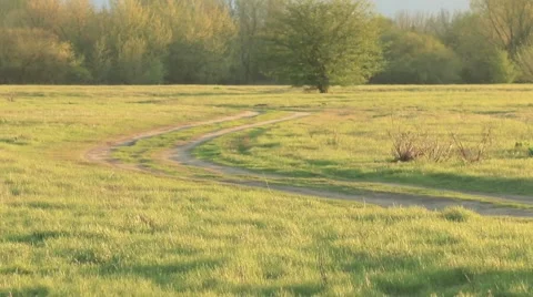 Spring view of green, fresh meadow. Stock-Footage 62809894