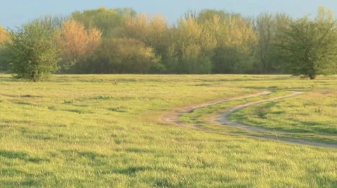 Spring view of green, fresh meadow. 스톡 동영상 62810080