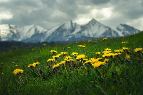 Spring view of the High Tatras Foto stock