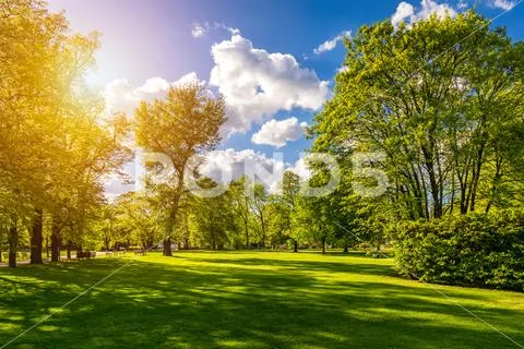 Spring view in Letna Park, Prague, Czech Republic. Spring in Prague (Praha), Stock Photos