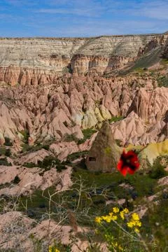 Spring view of Rose Valley in Cappadocia located in Chavusin village, Nevsehir Stock Photos