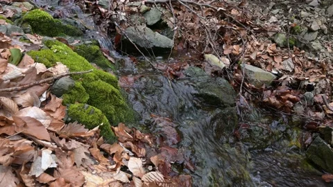 Spring view of small river at Vitosha Mountain, Bulgaria Stock Footage 237465067