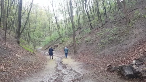 Spring. Vilnius. Stock Footage 166721377