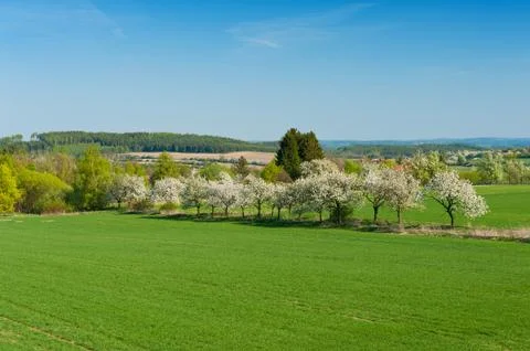 Spring vista Stock Photos
