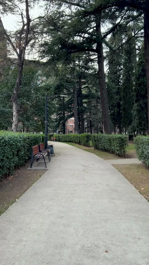 Spring walk along path in city garden along alley of green bushes, benches Stock Footage 304688063