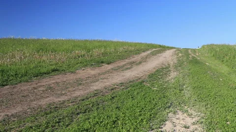 Spring walk by bicycle on a dirt road Stock Footage 62072699