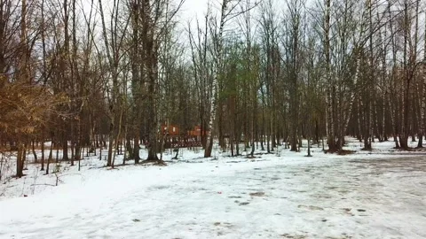 Spring walk in the park 스톡 동영상 149913203