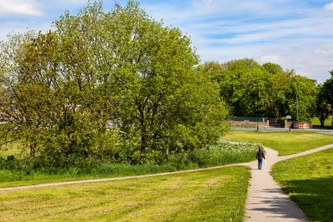 Spring walking in the park Stock Photos