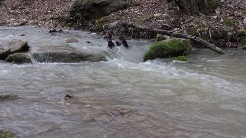 Spring walks along the canyon of the river, shallow water with a fast current Stock Footage 275467909