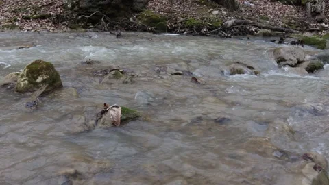 Spring walks along the river canyon, shallow water and a water barrier. Stock Footage 274328037