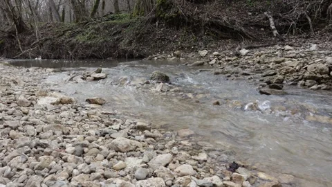 Spring walks along the river canyon, shallow water and rocky bottom Stock Footage 274975737