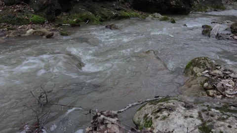 Spring walks in the highlands, riverbed, forest, and panorama of the area Stock Footage 275592615