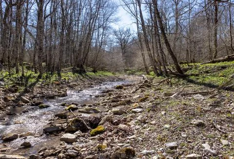 Spring walks in the highlands, riverbed, forest, and panorama of the area Stock Photos